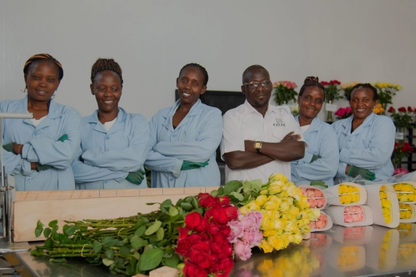 Team Flower Packaging Station MrMambo at Laptop